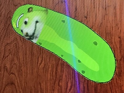 Pickle Chomik