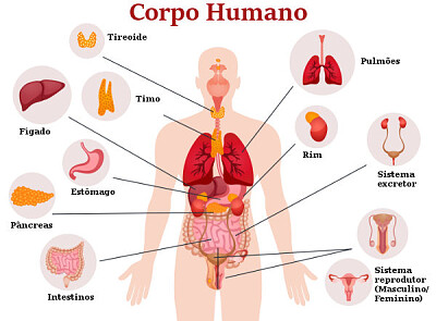 CORPO HUMANO