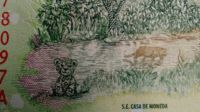 YAGUARETÉ-BILLETE