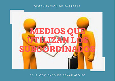 organización