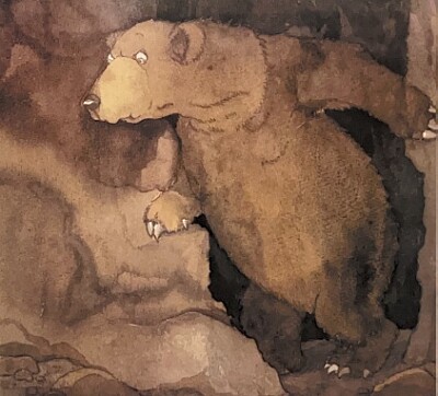 Orso nella caverna