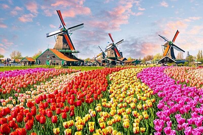 KEUKENHOF-Holanda