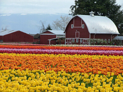 Skagit Valley-EEUU