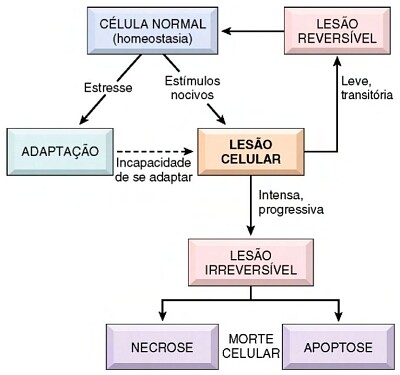 resumo