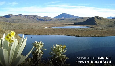 Reserva ecológica el ángel