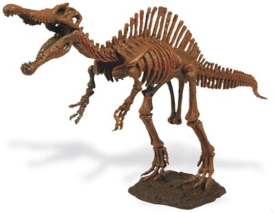 scheletro spinosauro