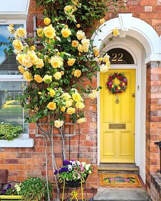 Portal con rosas amarillas