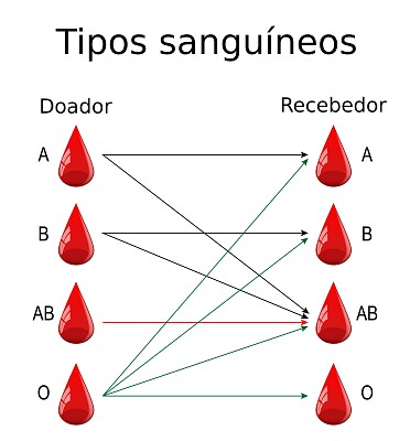 sistema abo