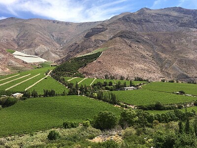 Valle del Elqui