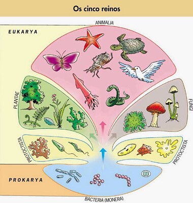 taxometria