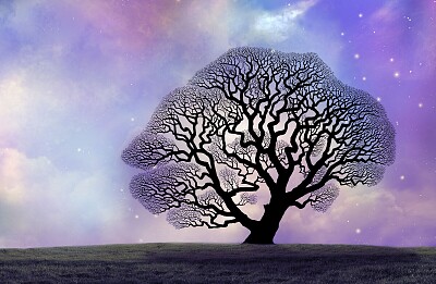 Bare Tree against Purple Sky