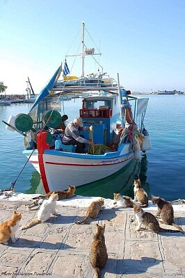 Bote de Pesca