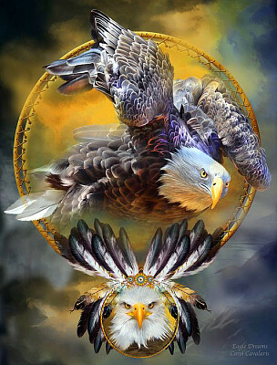 Eagle Dreams Spiral