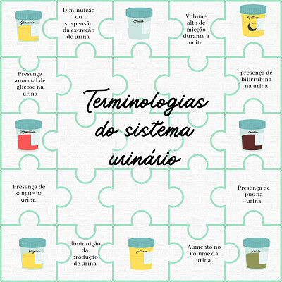 Terminologias do sistema urinário