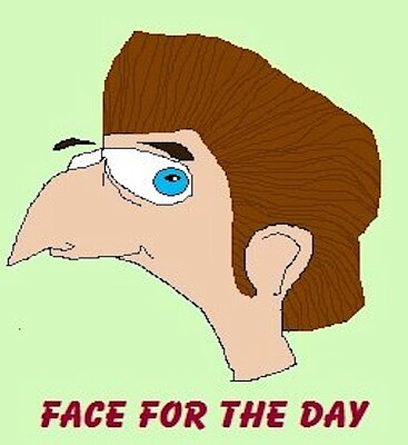 face for the day 29