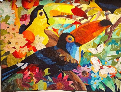 Toucans de toutes couleurs