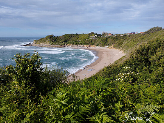 Côte Basque 2