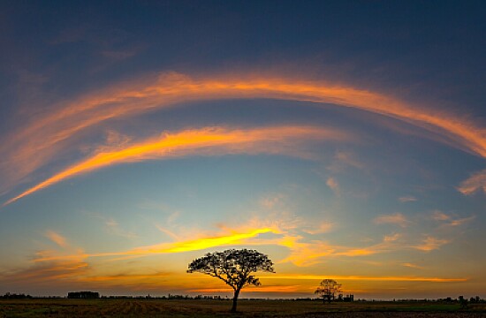 Sunset cloudbow lone tree