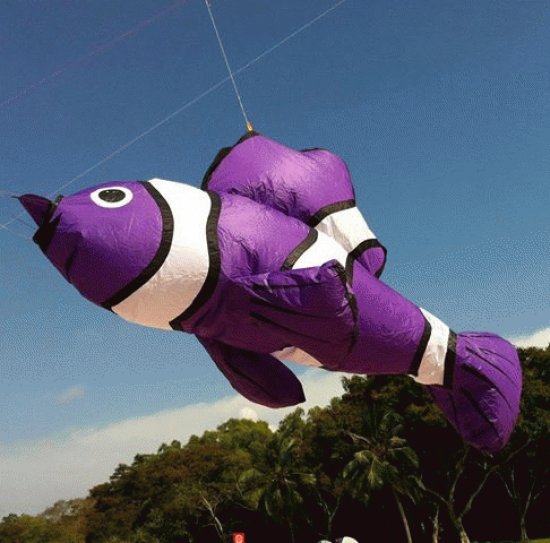 Purple Fish Kite