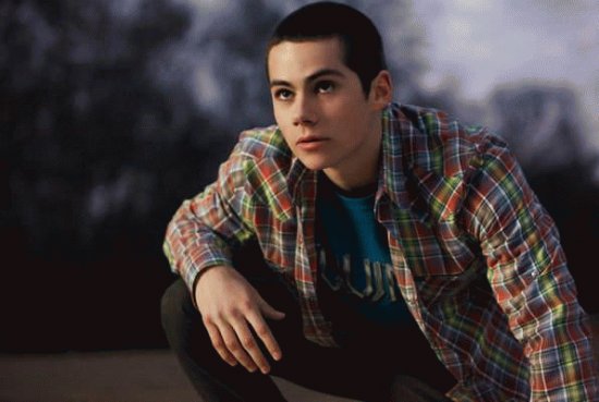 stiles