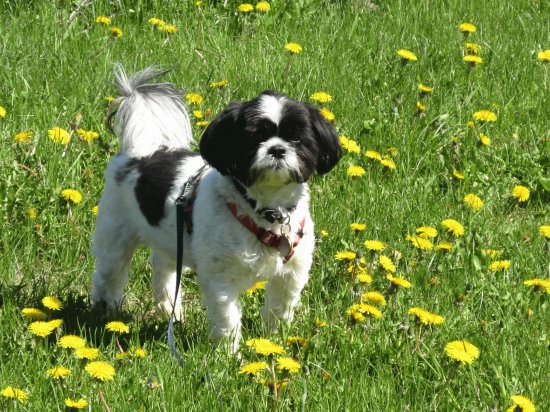 Outstanding in his field