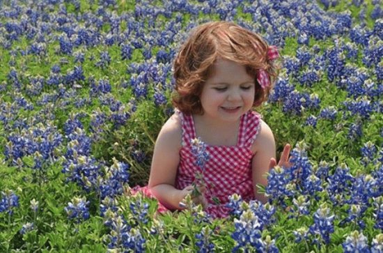 Little Girl in the Purple Flowers