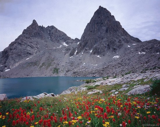 Beautiful Lake Scene