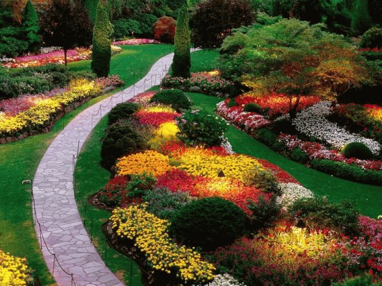 Beautiful Floral Walkway