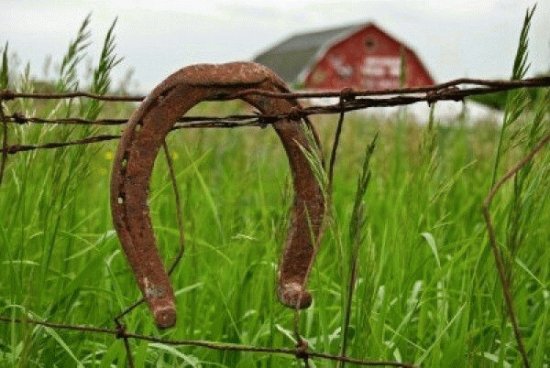 Horseshoe Scene