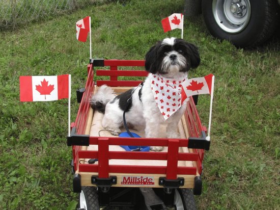 Happy Canada Day everyone