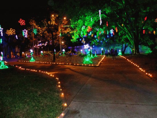 LUCES DE NAVIDAD