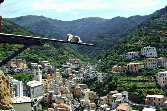 Cinque Terre Town