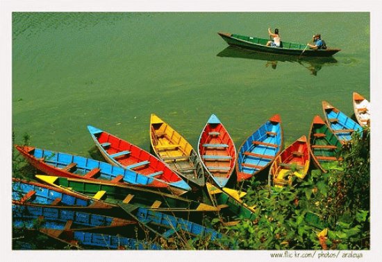 Colored Boats