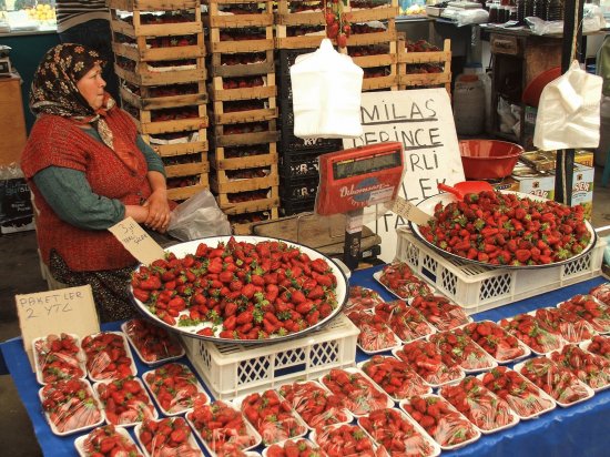 Turgetries Market Turkey