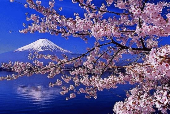 mont fuji japon