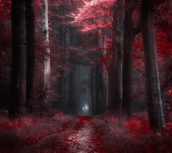 foret rouge