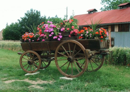 Flower Cart