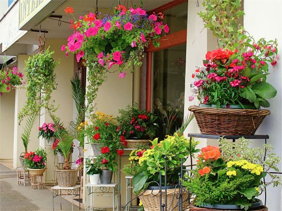 FloristerÃ­a en BretaÃ±a (Francia)