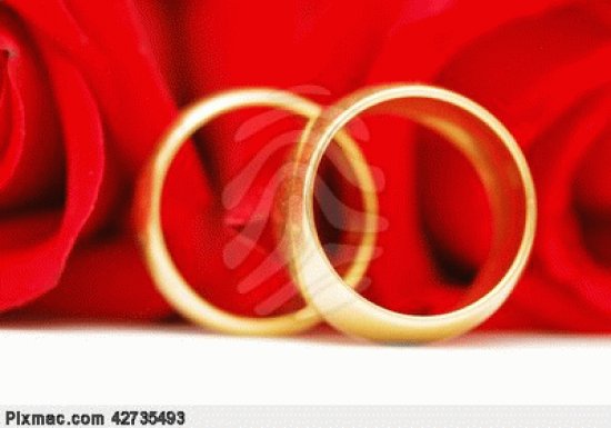 two-gold-wedding-rings-and-red-roses-pixmac-photo-