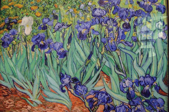 Irises - Getty Centre Los Angeles