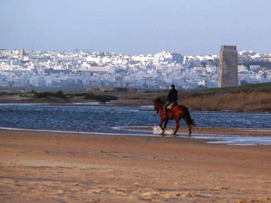 conil,cadiz