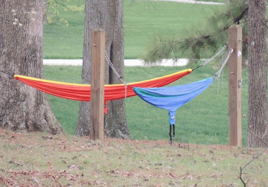 Hammocks