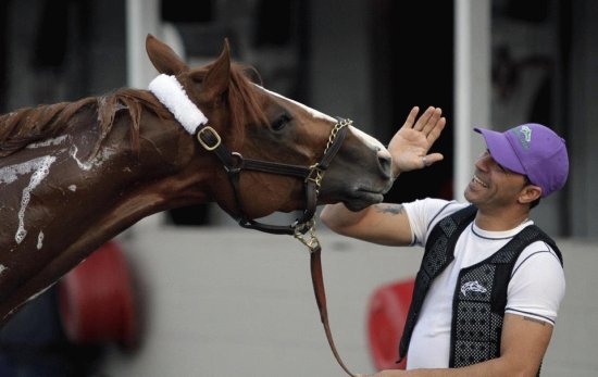 California Chrome