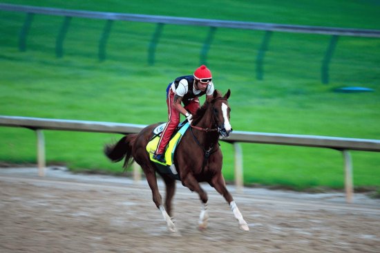 California Chrome