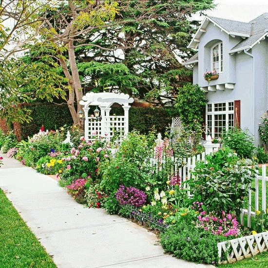 Frond-Yard Garden