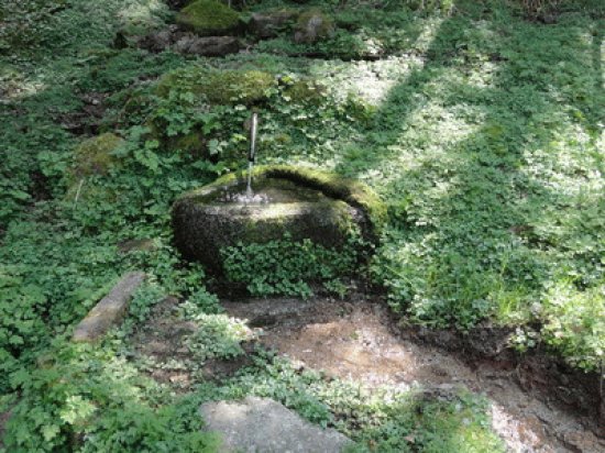 fontaine St Hubert