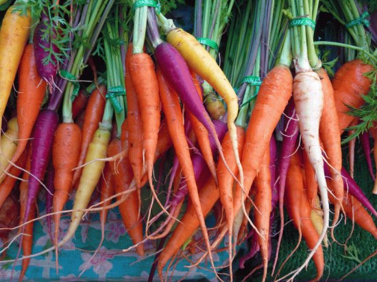 Colored Carrots