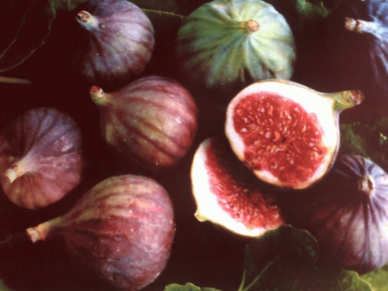 Figues