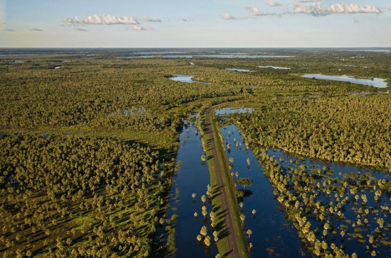 Isla Cerrito. Chaco. Argentina