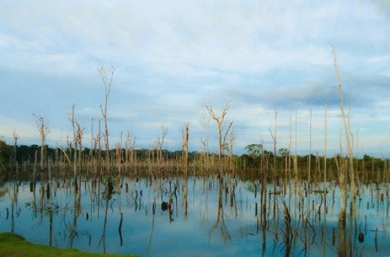 Lagoa das Garças - Aripuanã - MT